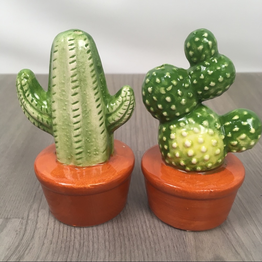 2 pcs Cactus Salt and Pepper Shakers Set